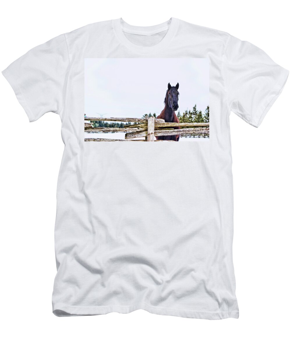 Horse T-Shirt featuring the photograph The Watcher 2 by Traci Cottingham