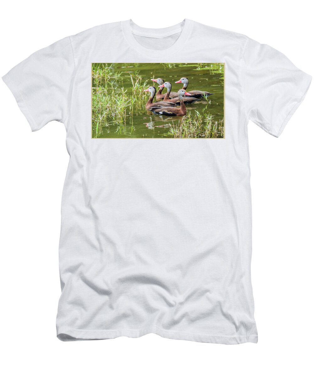 Ducks T-Shirt featuring the photograph There's Always One by Madlyn Blom