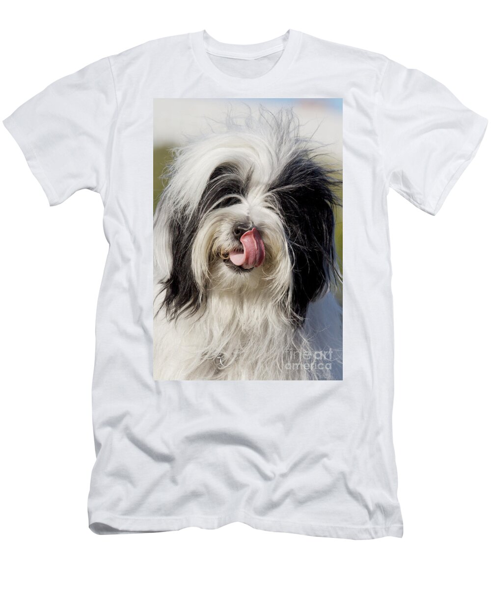 Dog T-Shirt featuring the photograph Tibetan Terrier by Brinkmann/Okapia