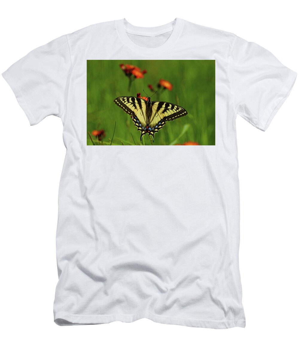 Tiger T-Shirt featuring the photograph Tiger Swallowtail Butterfly by Nancy Landry