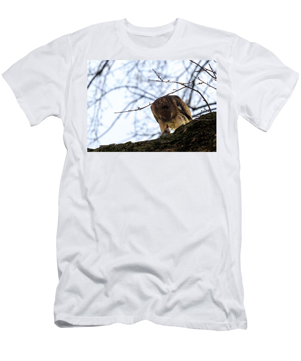 Anguish T-Shirt featuring the photograph Time for Dinner by Travis Rogers