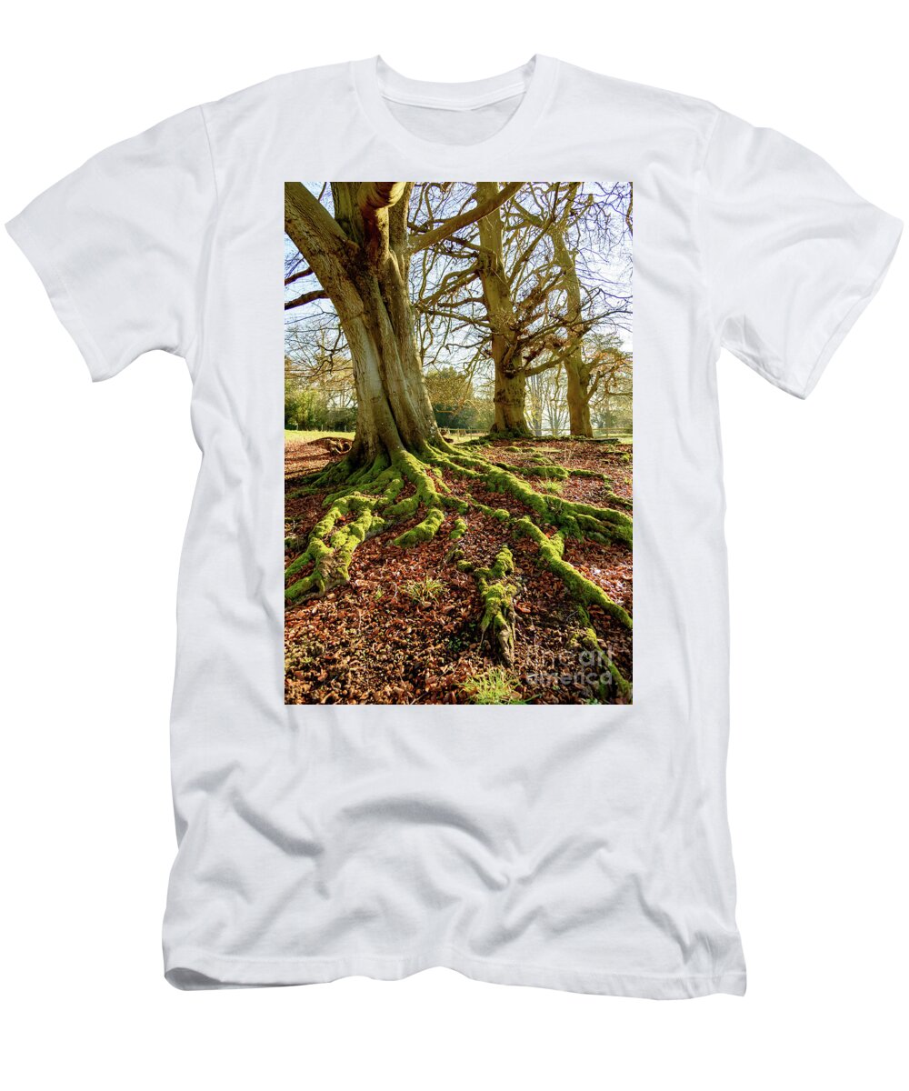 Tyntsfield T-Shirt featuring the photograph Tree roots and moss by Colin Rayner