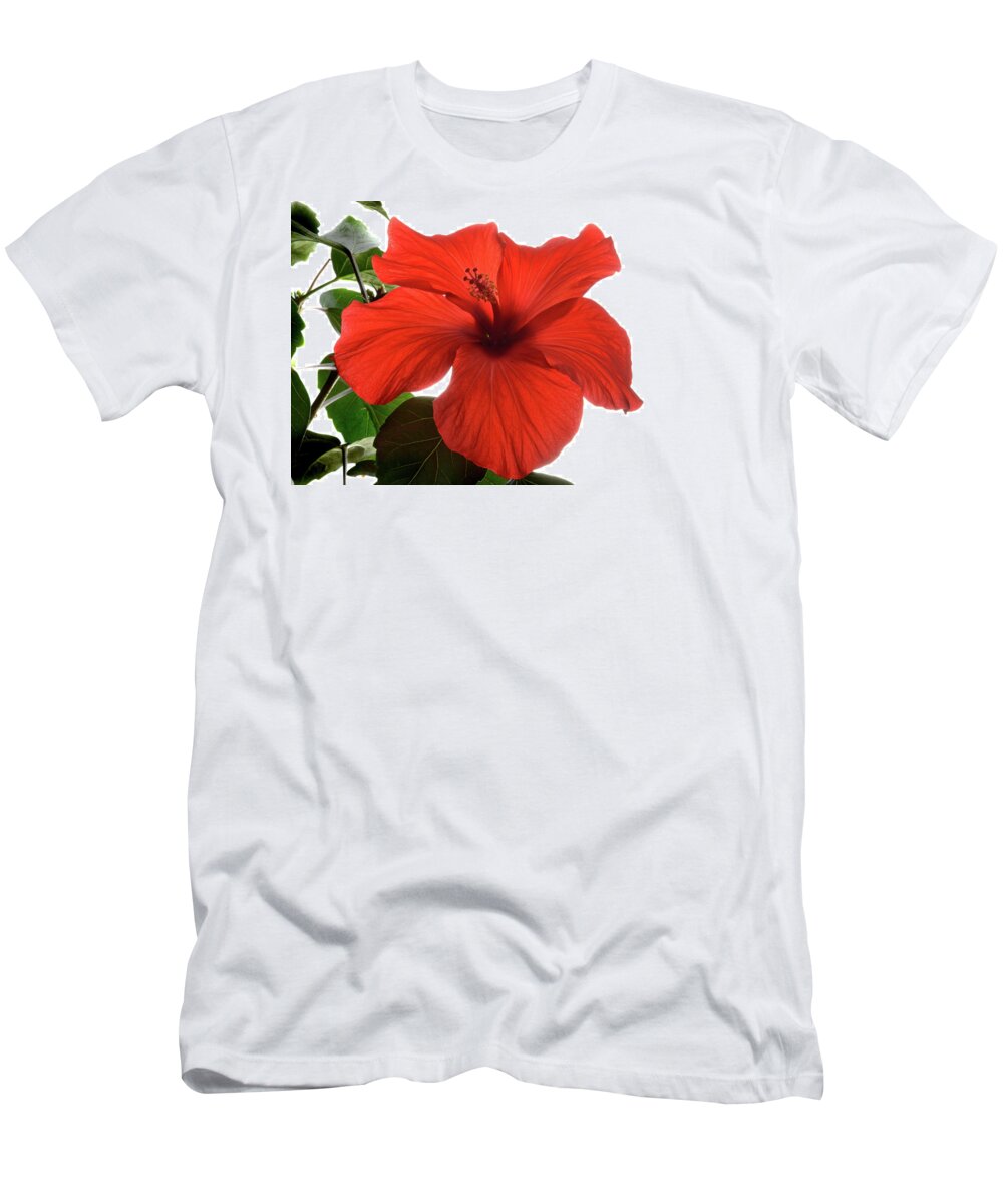 Hibiscus T-Shirt featuring the photograph Tropical Bloom. by Terence Davis