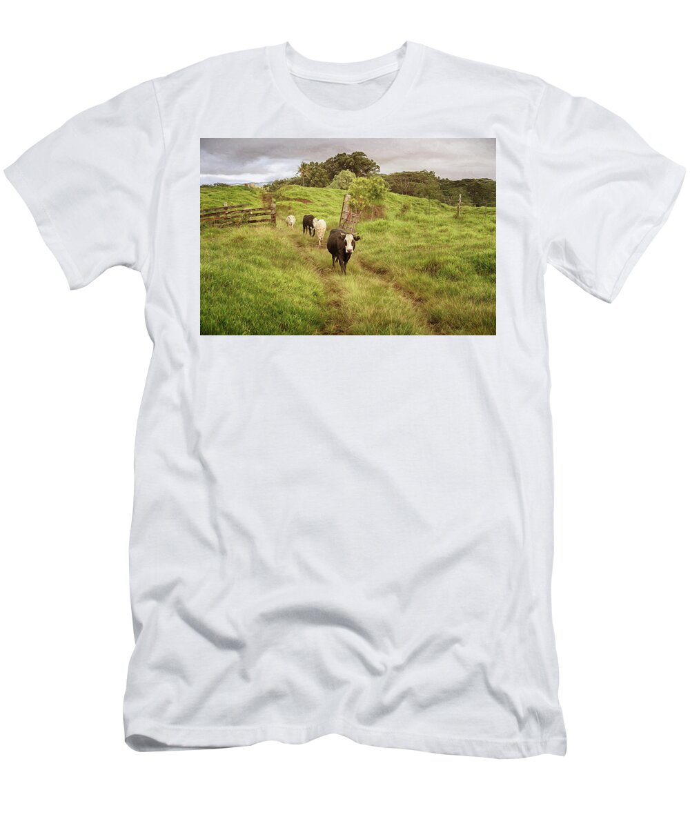 Cows T-Shirt featuring the photograph Upcountry Ranch by Susan Rissi Tregoning