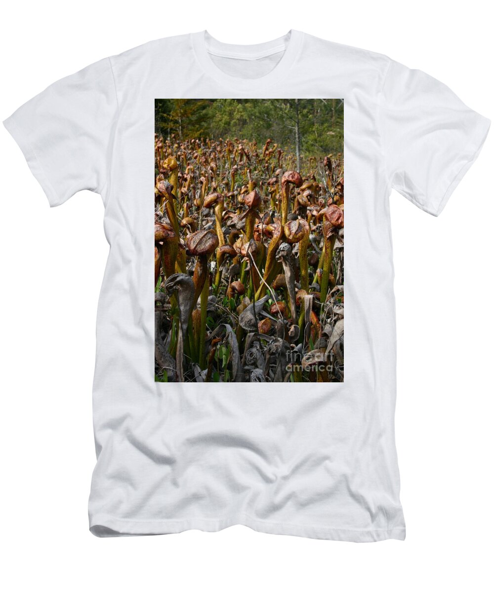 Valley T-Shirt featuring the photograph Valley of the Cobras by Marie Neder