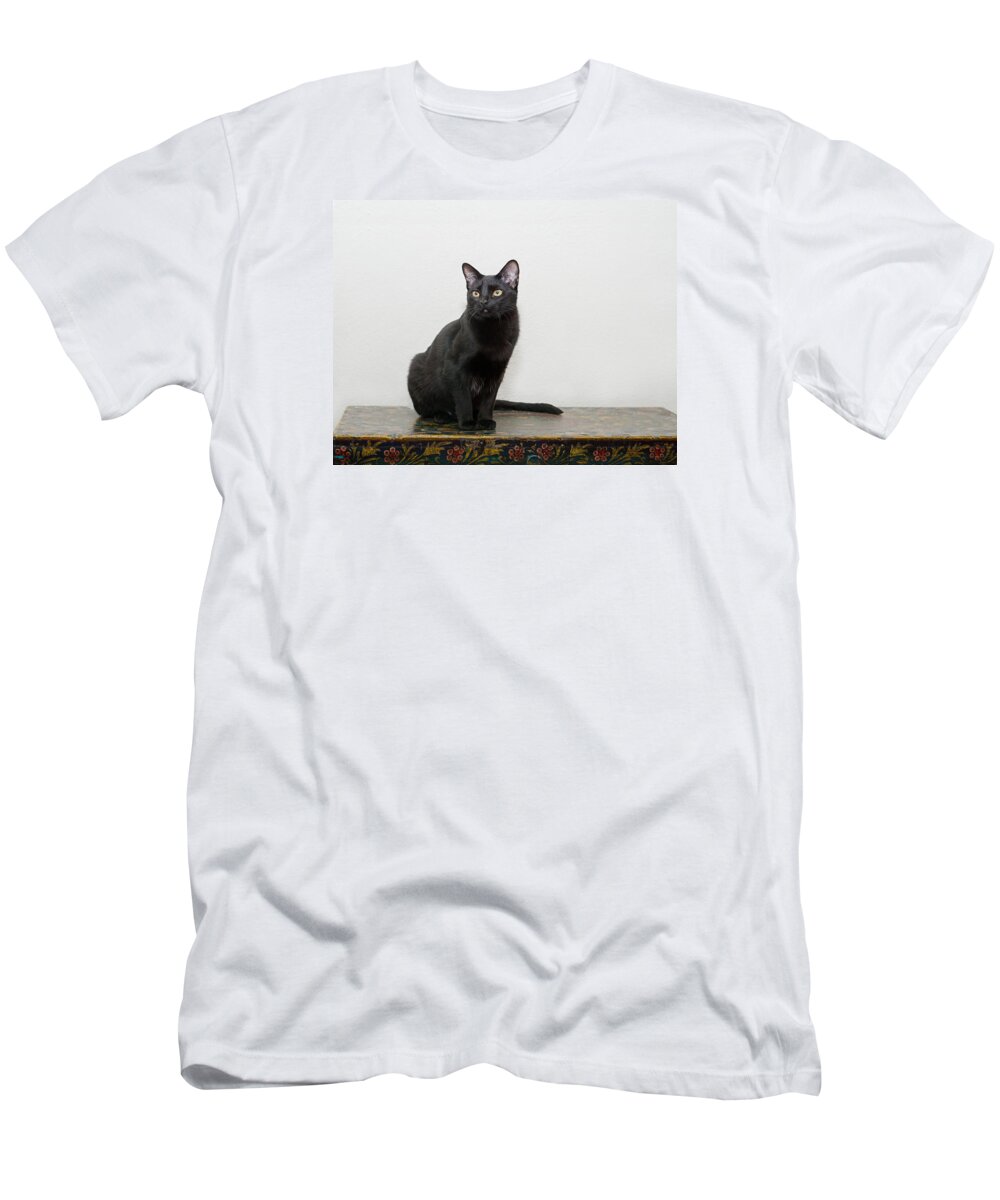 Black Cat T-Shirt featuring the photograph Velvet by Irina ArchAngelSkaya