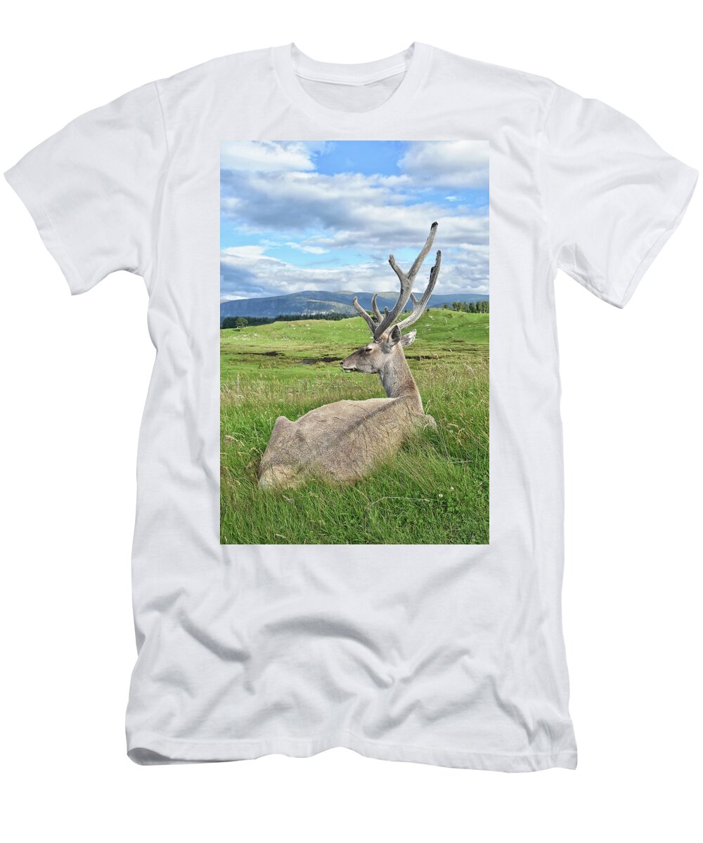  T-Shirt featuring the photograph Velvet by Kuni Photography