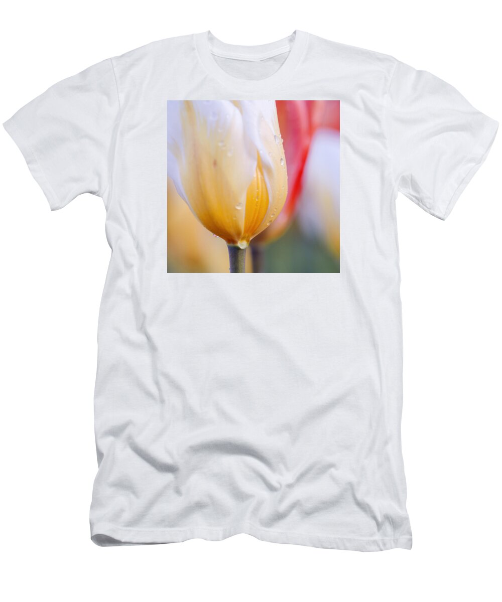 Tulips T-Shirt featuring the photograph Vibrant Tulips by Vishwanath Bhat