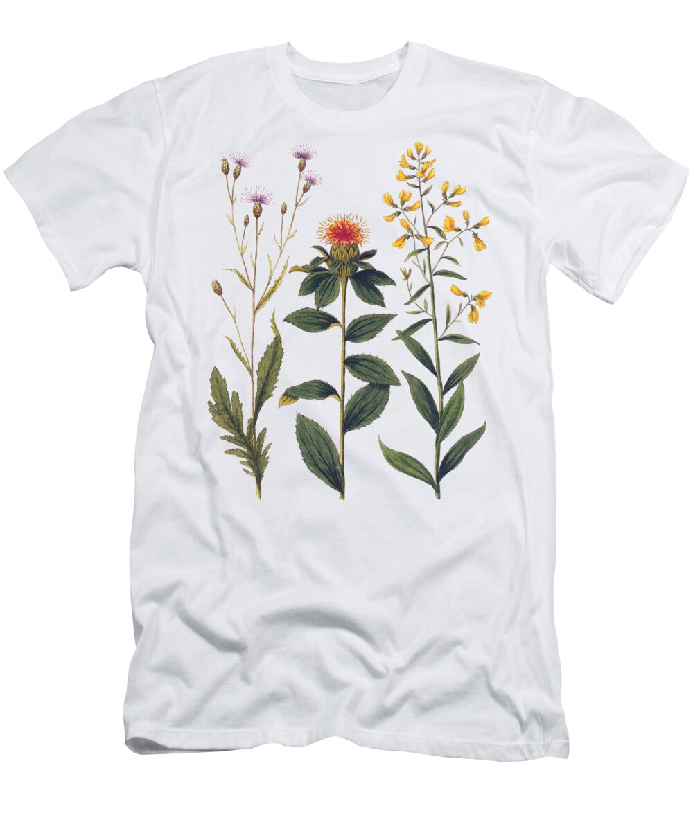 Botanical T-Shirt featuring the digital art Vintage Botanical Wildflowers by Antique Images 