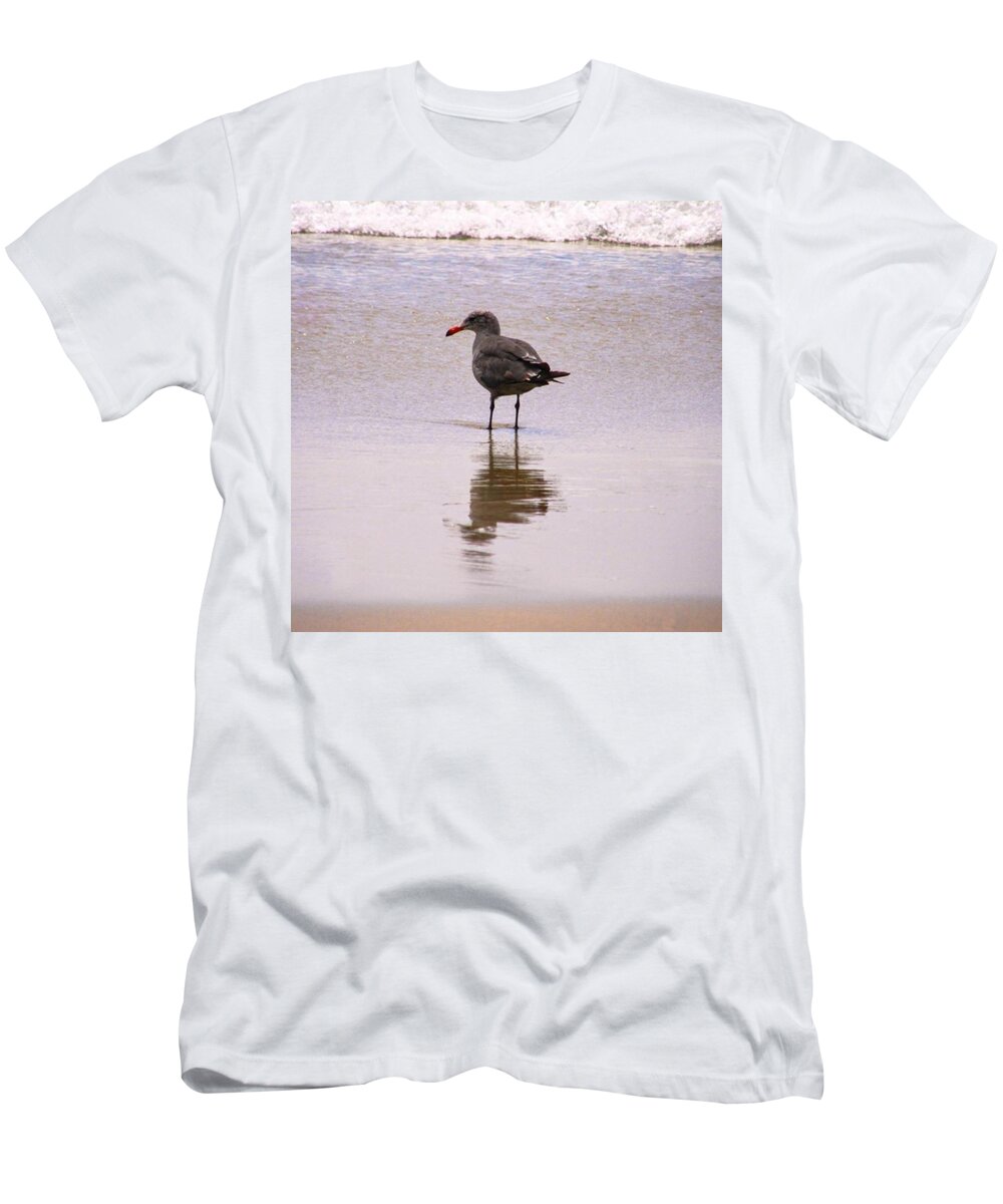 Ocean Conservation T-Shirt featuring the photograph Wading For Lunch by Leah McPhail