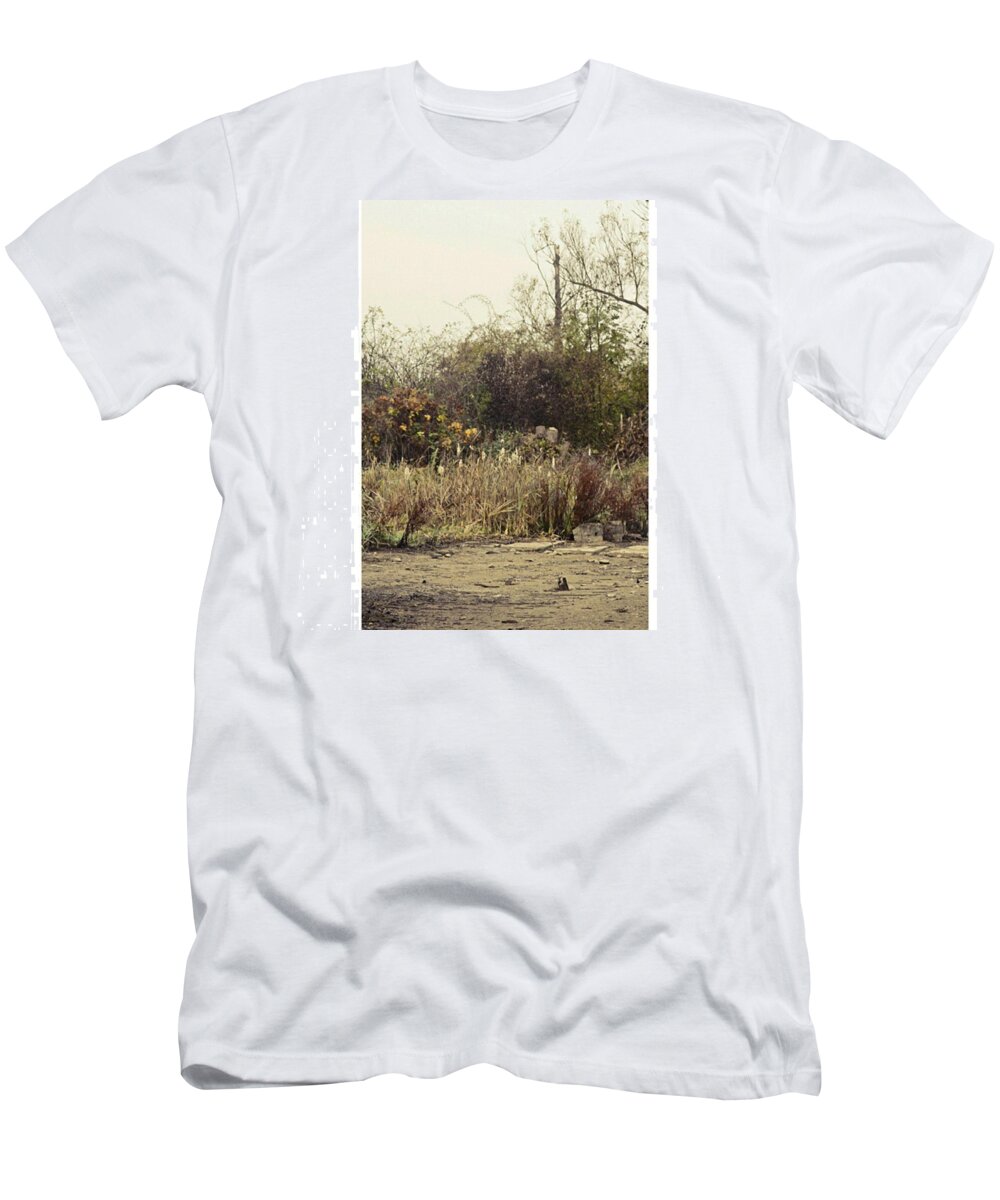 Seaside T-Shirt featuring the photograph Walking By The Lake

#landscape #lake by Mandy Tabatt