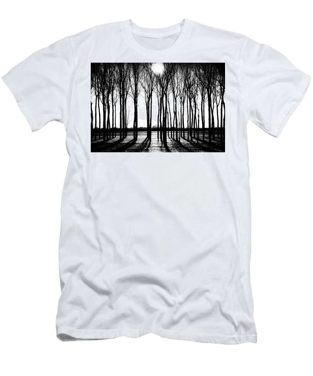 Grove T-Shirt featuring the photograph Walnut Grove Fall Evening by Michael Arend