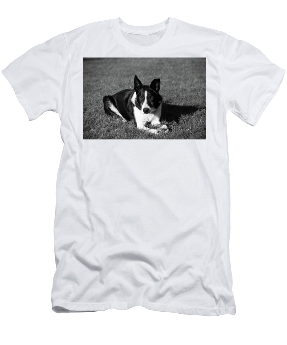 Action T-Shirt featuring the photograph Want To Play Ball by James McHugh