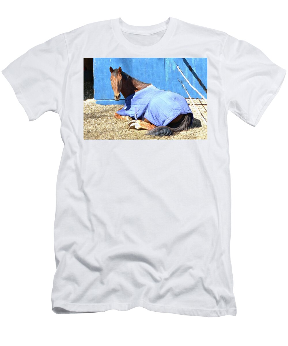 Horse T-Shirt featuring the photograph Warm Winter Day at the Horse Barn by Cindy Schneider