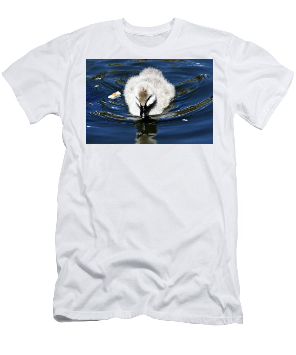 Black Swan T-Shirt featuring the photograph Watchfull Cygnet by Miroslava Jurcik