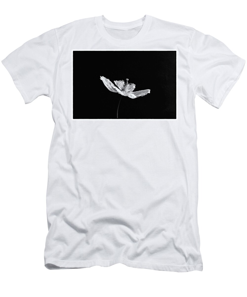 Poppy T-Shirt featuring the photograph Welsh Poppy Monochrome by Jeff Townsend