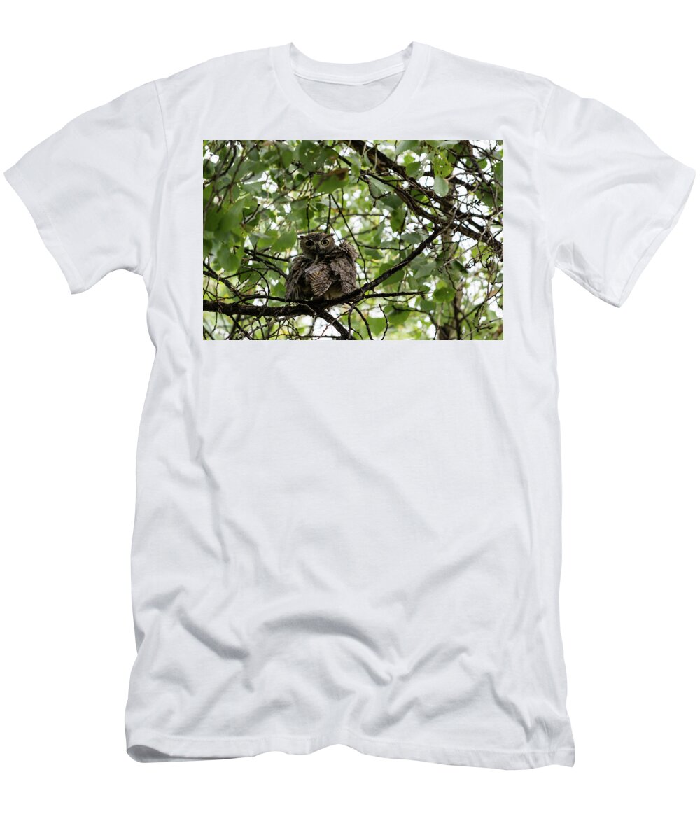 Great T-Shirt featuring the photograph Wet Owl - Wide View by Douglas Killourie