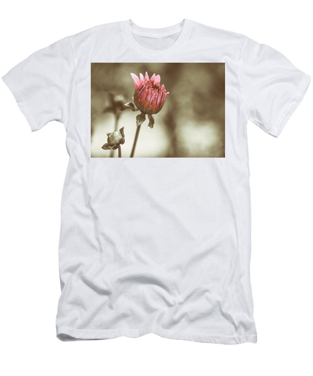 Dahlia T-Shirt featuring the photograph When We Were Young by Rob Davies