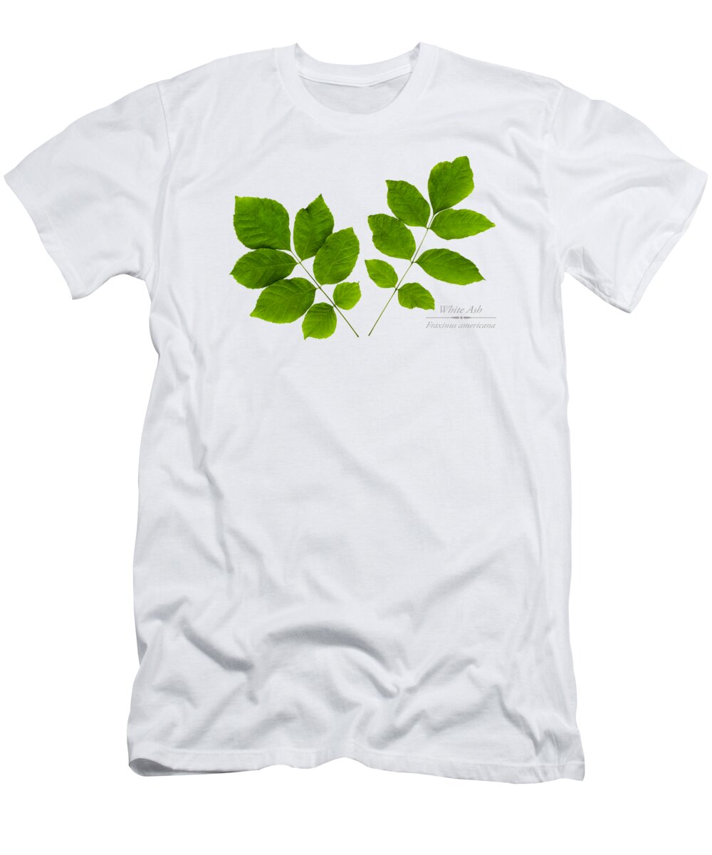 Leavws T-Shirt featuring the photograph White Ash Leaves by Christina Rollo