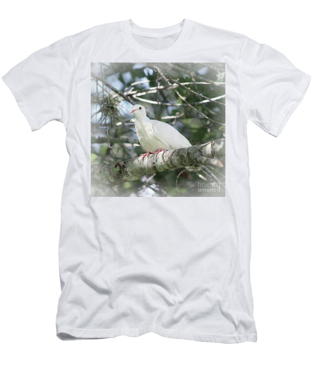 Doves T-Shirt featuring the photograph White Dove Messenger by Ella Kaye Dickey