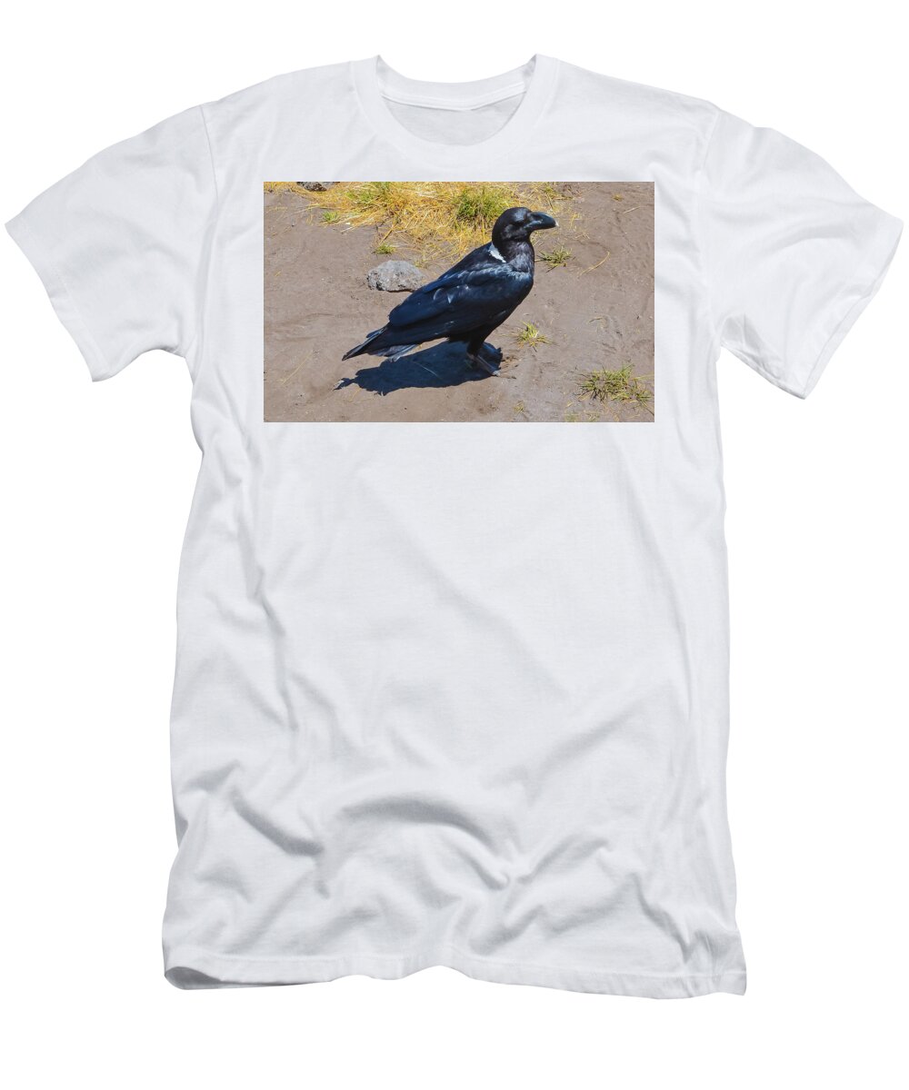 Africa T-Shirt featuring the photograph White-Necked Raven of Kilimanjaro by Jeff at JSJ Photography