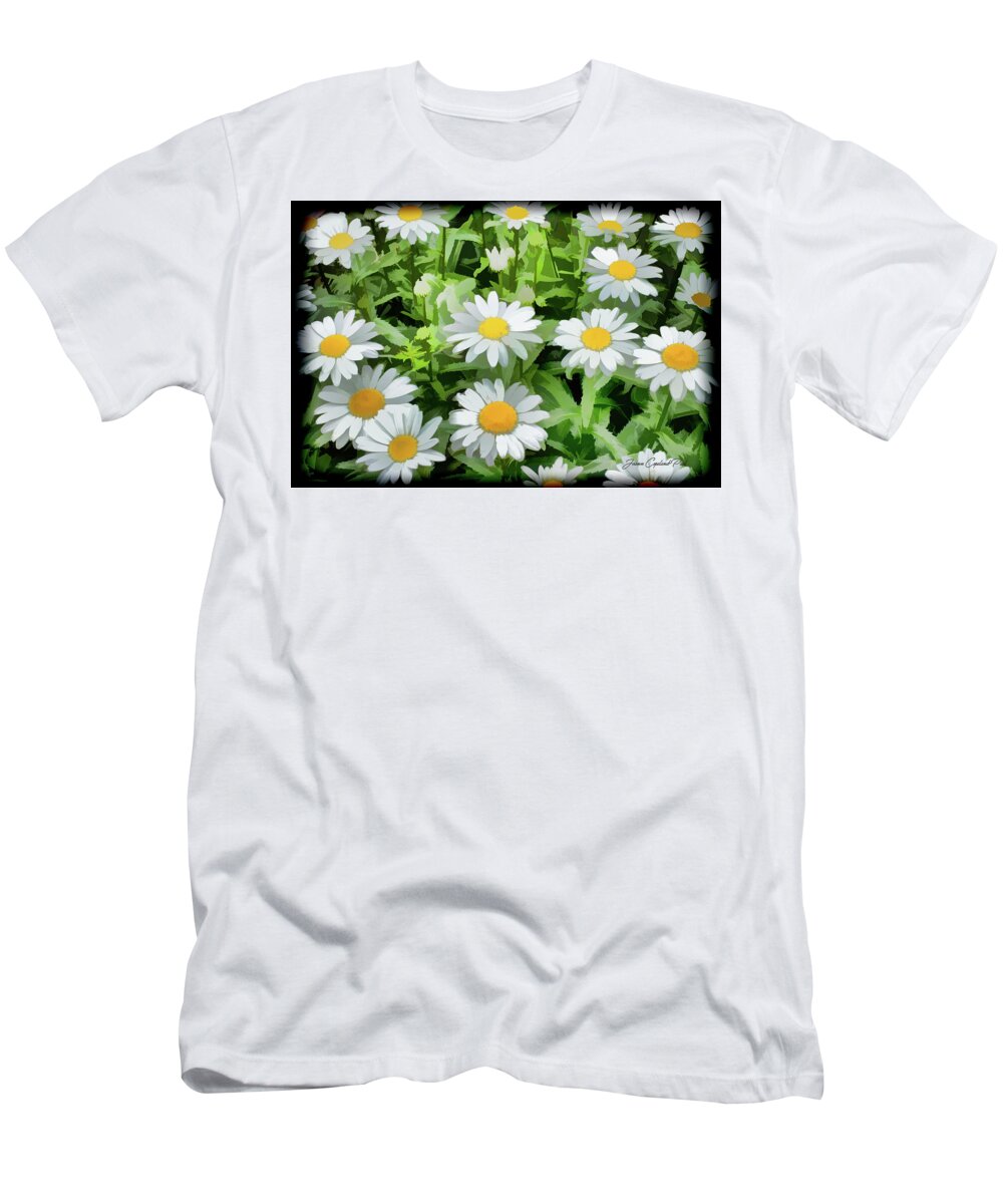 White Daisy T-Shirt featuring the photograph White Shasta Daisies by Joann Copeland-Paul