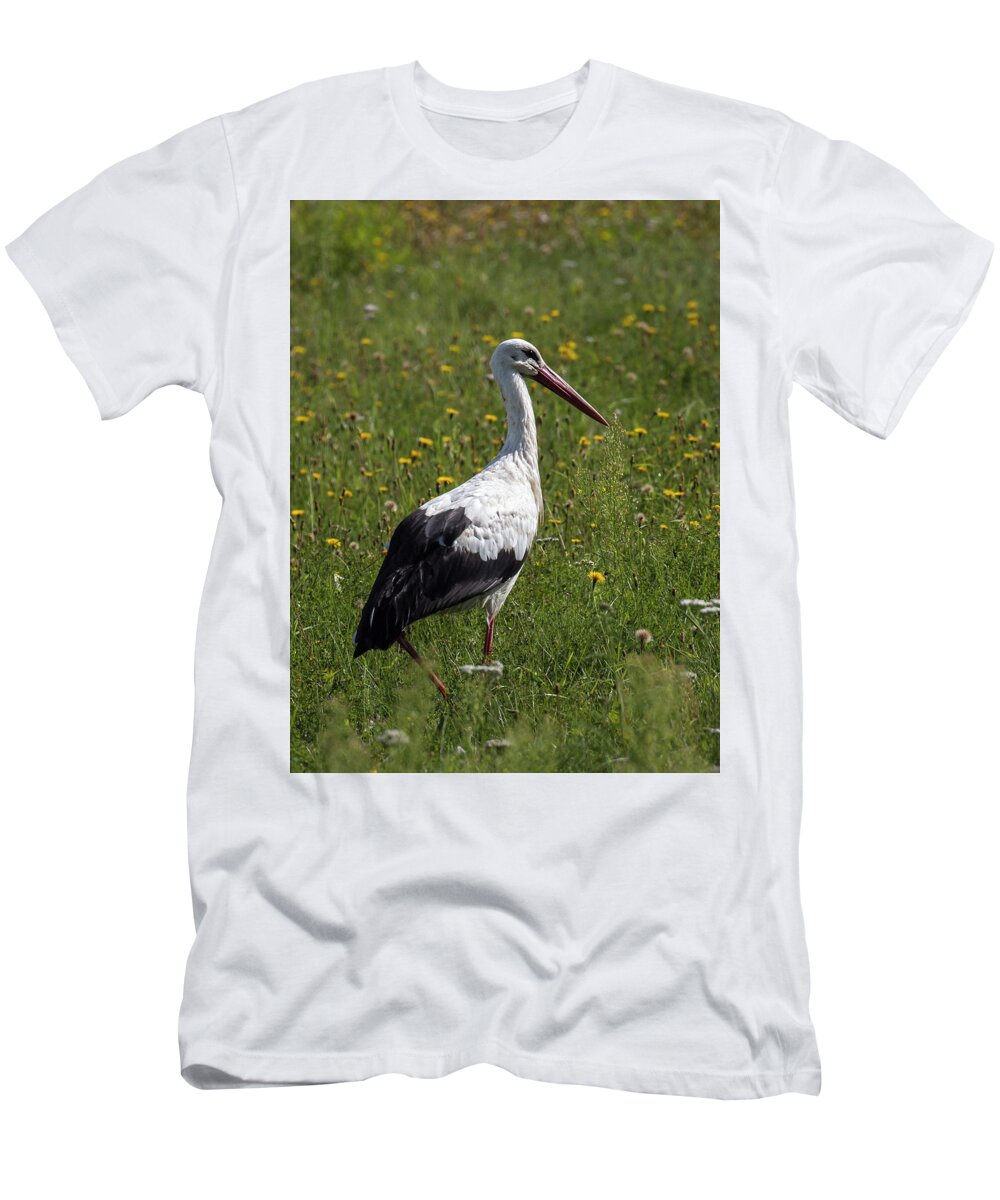Stork T-Shirt featuring the photograph White Stork by Claudio Maioli