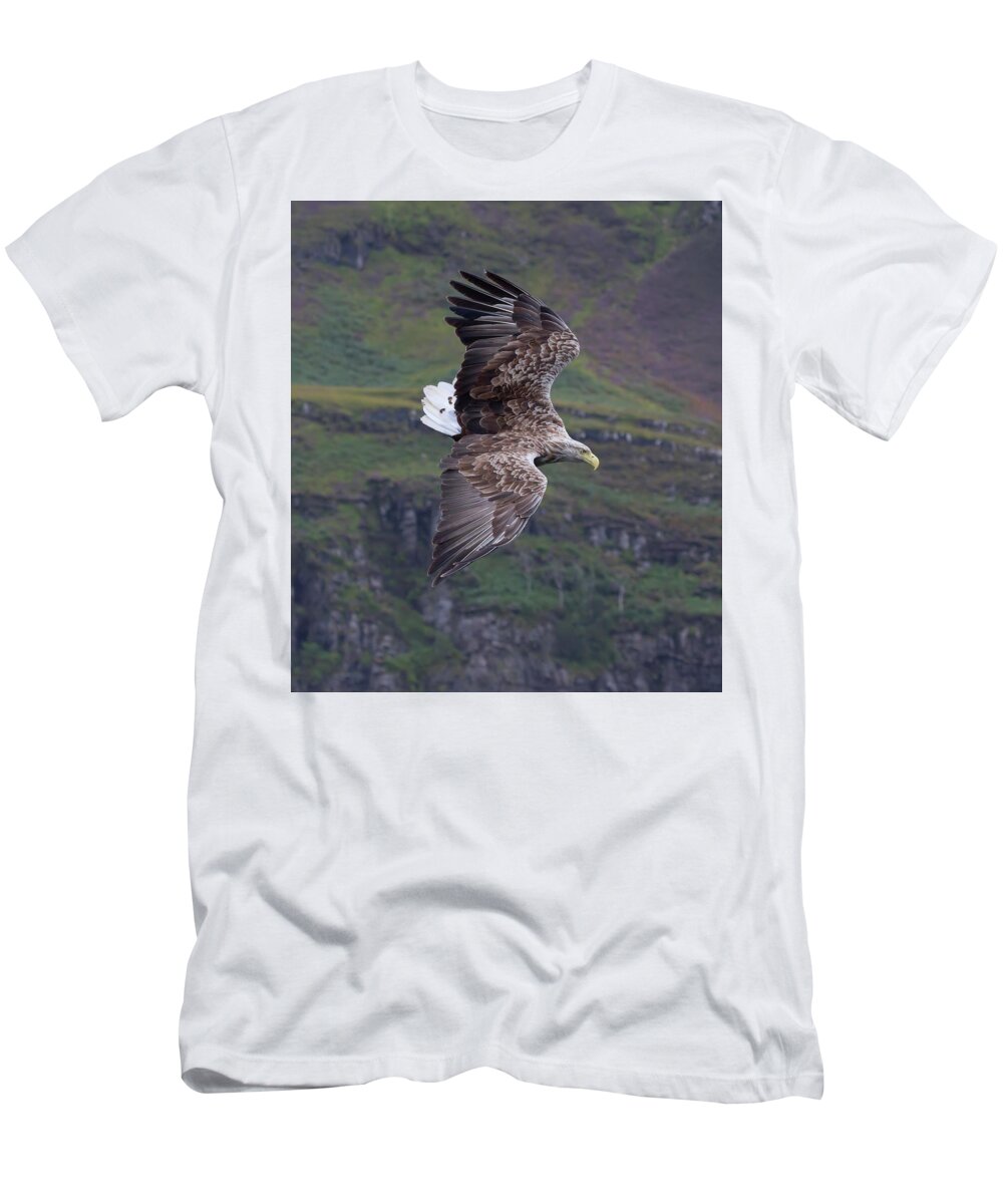 White-tailed Eagle T-Shirt featuring the photograph White-Tailed Eagle Banks by Pete Walkden