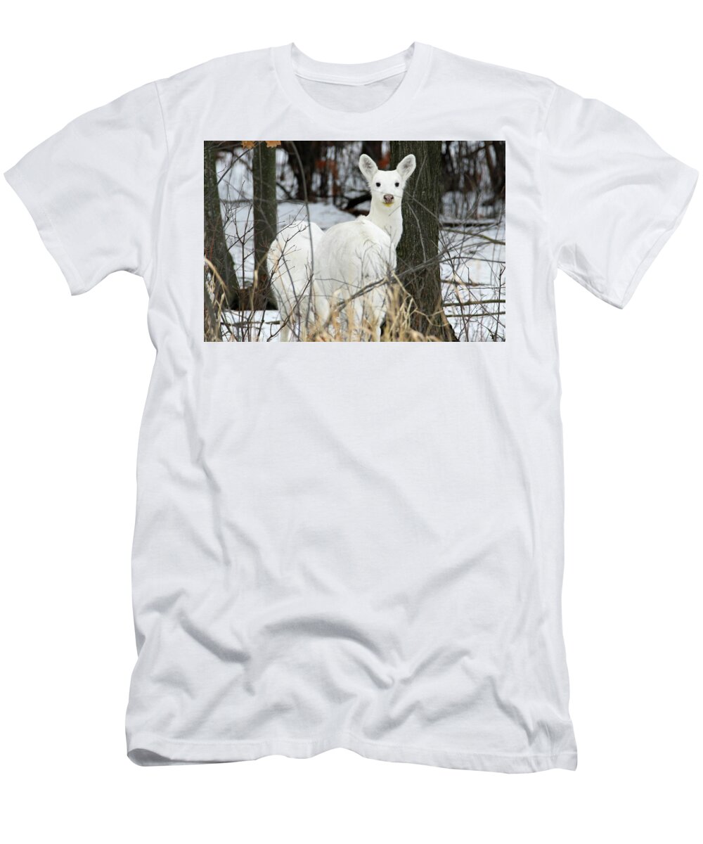 White T-Shirt featuring the photograph White Visitor by Brook Burling