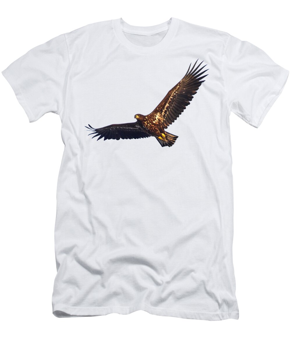 Haliaeetus Albicilla T-Shirt featuring the photograph Whitetailed eagle transparent by Jouko Lehto