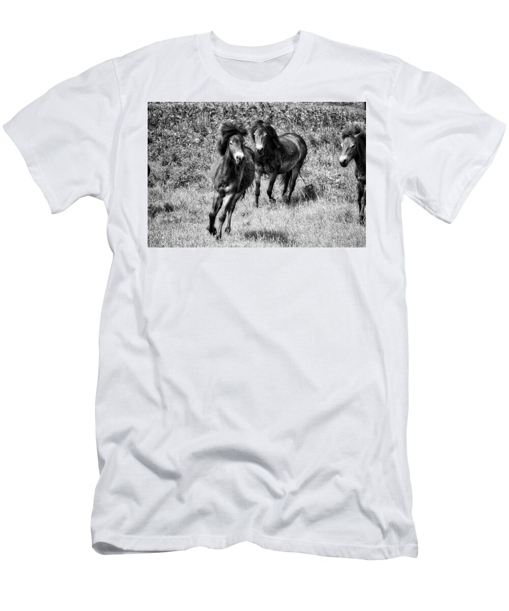 Nature T-Shirt featuring the photograph Wild Horses BW4 by Ingrid Dendievel