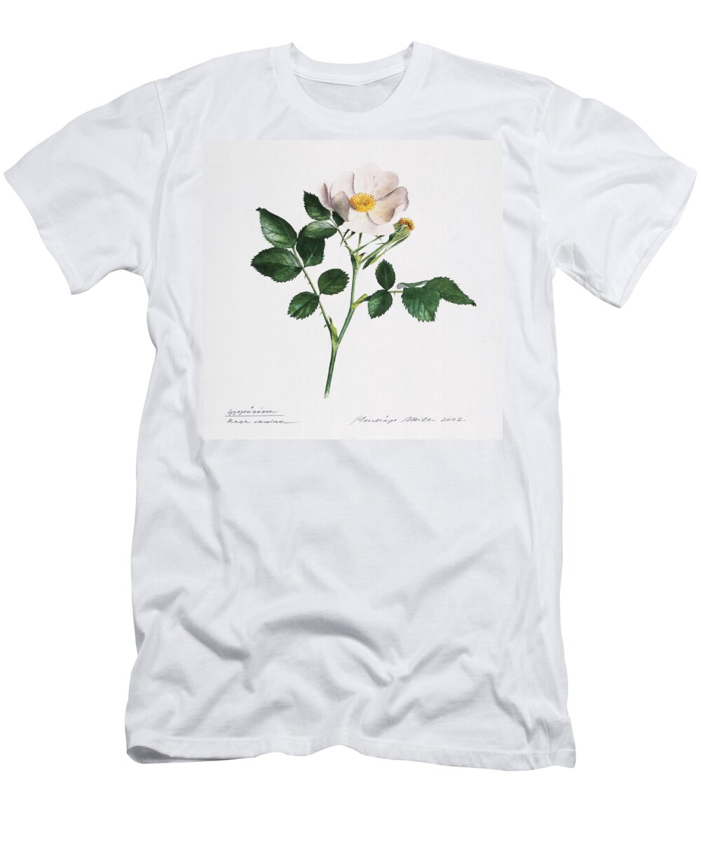 Dog Rose T-Shirt featuring the painting Wild Rose by Attila Meszlenyi