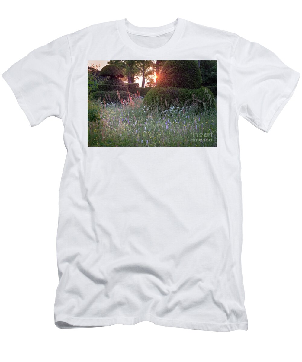 Sunset T-Shirt featuring the photograph Wildflower Meadow at Sunset, Great Dixter by Perry Rodriguez