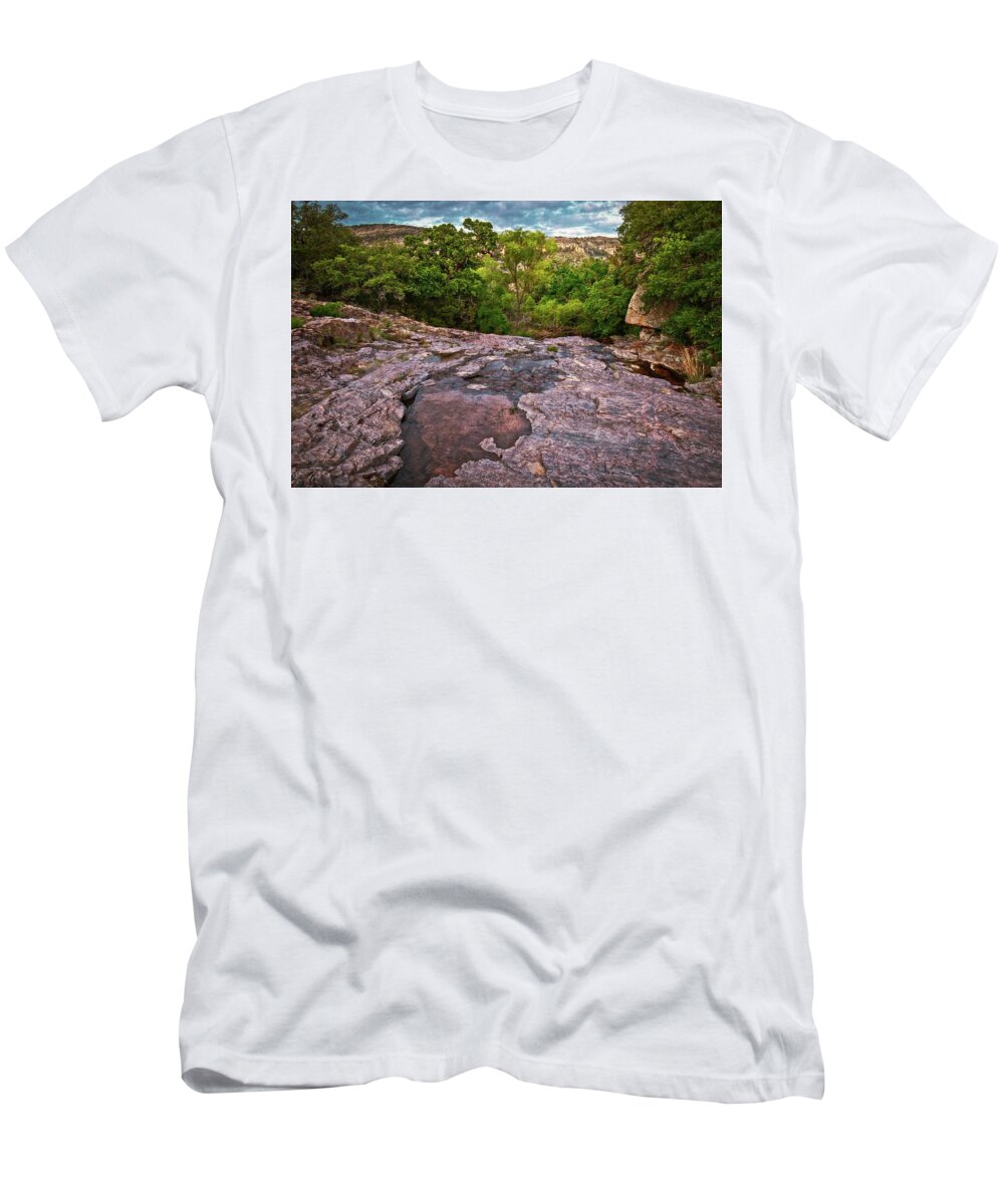 Granite Stone T-Shirt featuring the photograph Willow Loop by Linda Unger