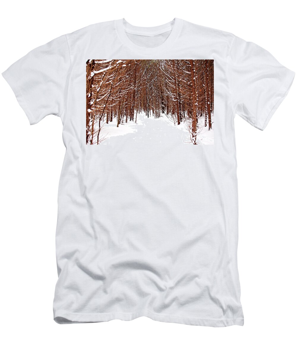 Cedar Trees T-Shirt featuring the photograph Winter Cedars by Debbie Oppermann