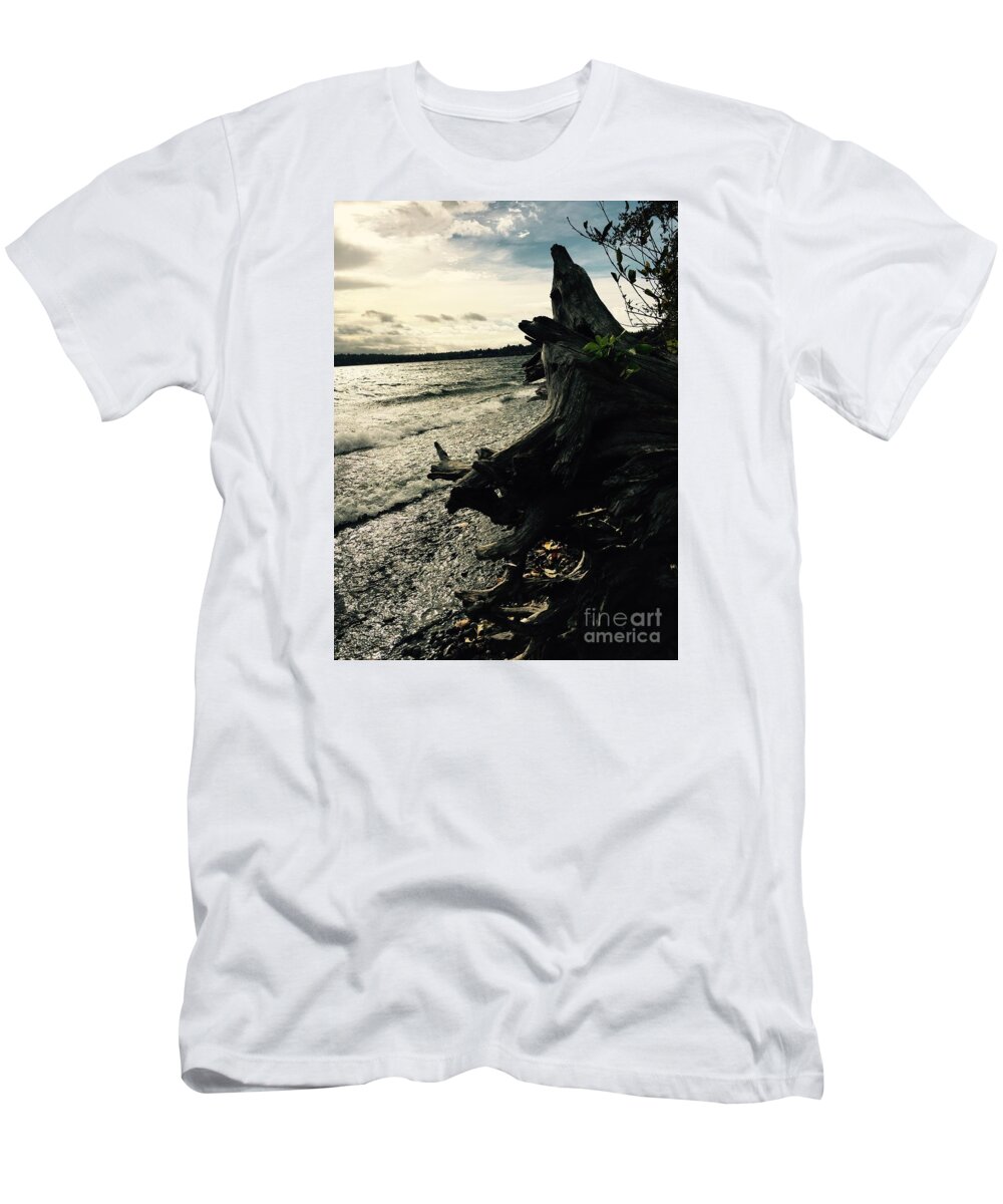 Driftwood T-Shirt featuring the photograph Winter Comes To The Sea by LeLa Becker