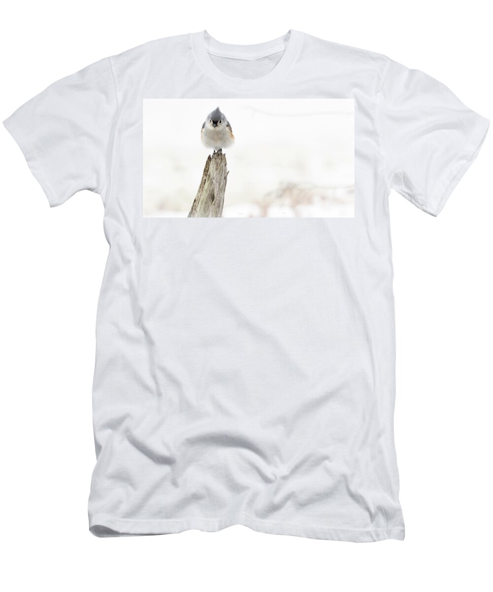 Bird T-Shirt featuring the photograph Winter Visit by Holly Ross