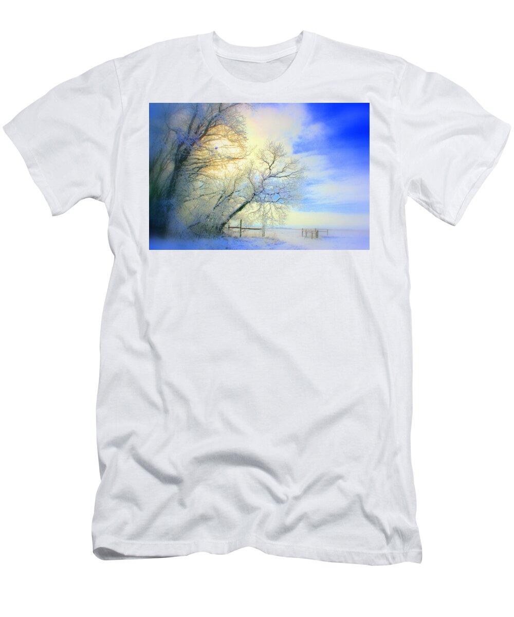 Snowy Sunday T-Shirt featuring the photograph Winters Pretty Presents by Julie Lueders 