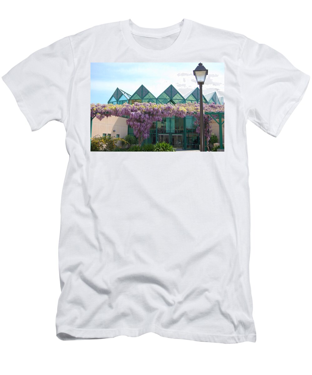 Springtime T-Shirt featuring the photograph Wisteria at Santa Clara University by Carolyn Donnell