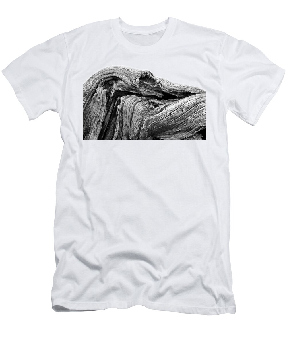 Wood T-Shirt featuring the photograph Wood #1256 by Raymond Magnani