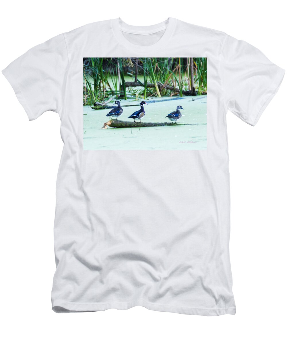 Heron Heaven T-Shirt featuring the photograph Wood Ducks All Grown Up by Ed Peterson