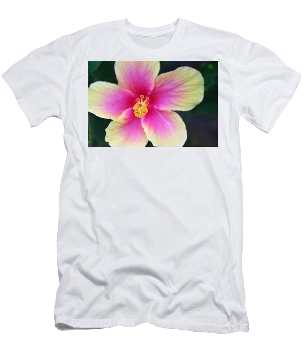 Flower T-Shirt featuring the photograph Yellow and Pink Hibiscus 2 by Amy Fose
