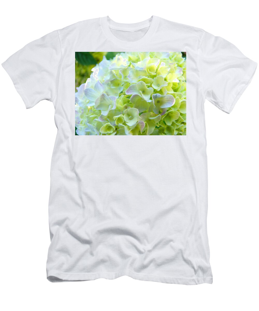 Bright T-Shirt featuring the photograph Yellow Hydrangea Flowers art prints Baslee Troutman by Patti Baslee