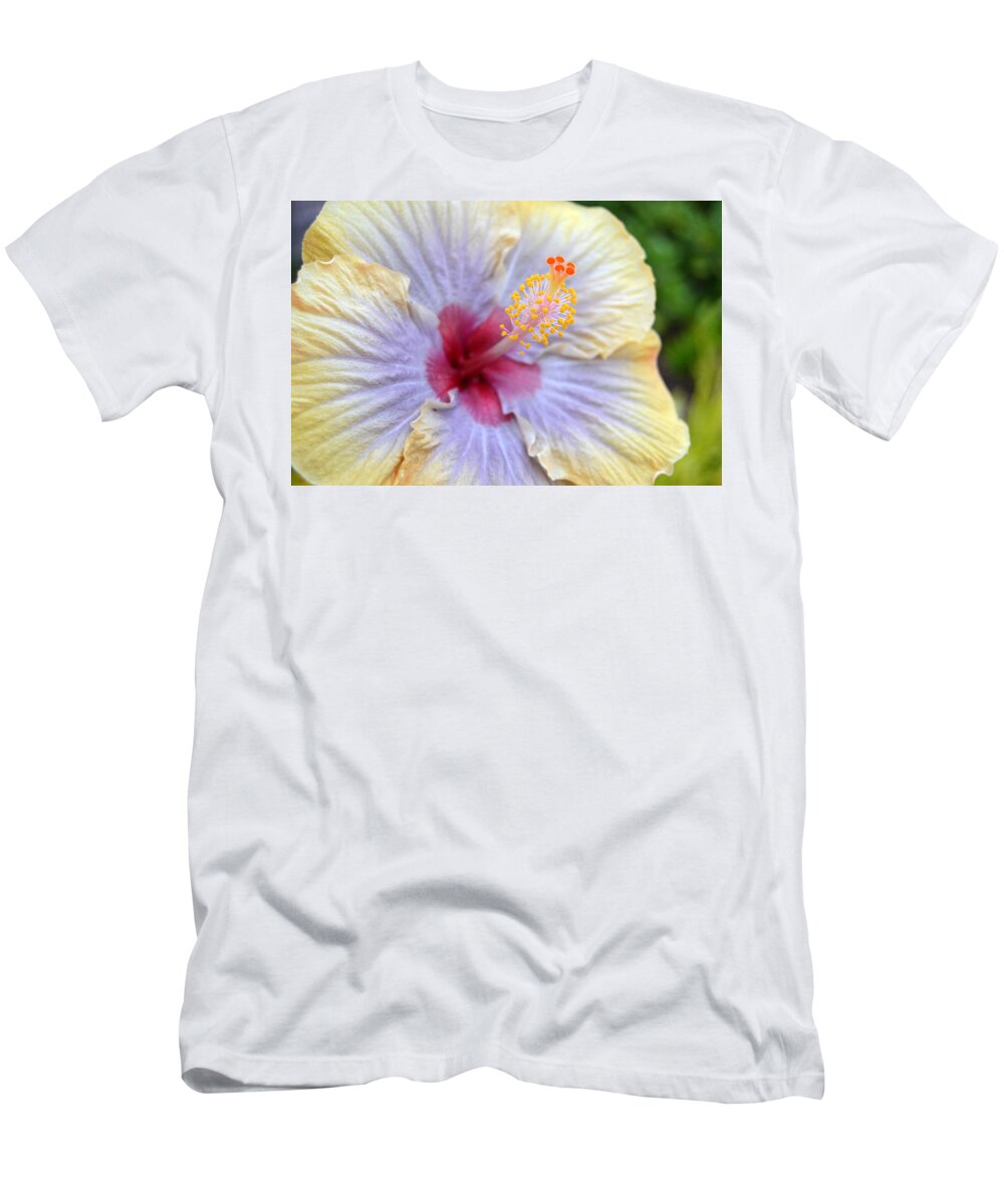Flower T-Shirt featuring the photograph Yellow Purple Hibiscus 1 by Amy Fose