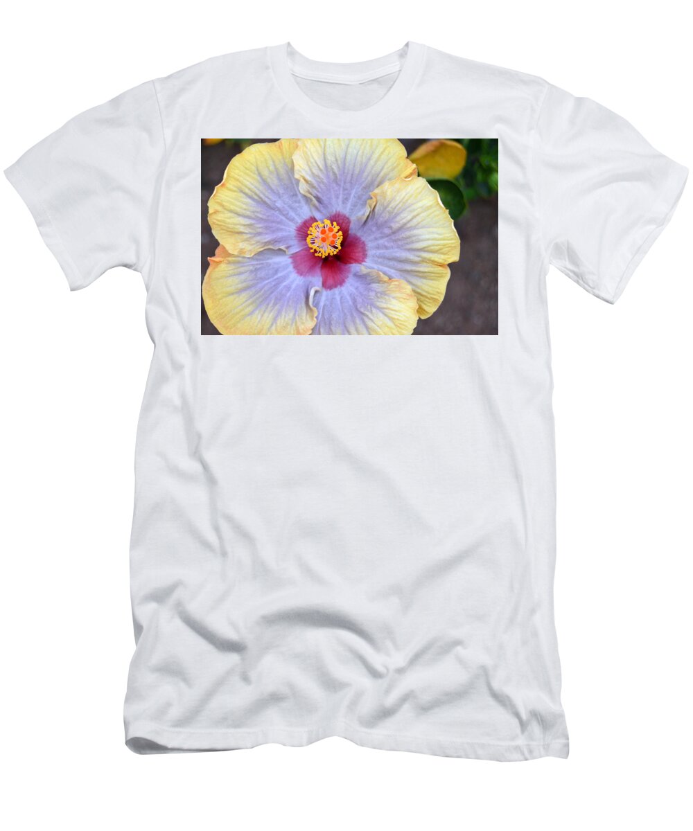 Flower T-Shirt featuring the photograph Yellow Purple Hibiscus 3 by Amy Fose