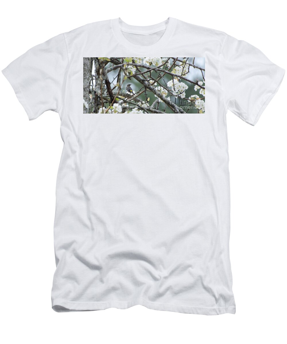 Bird T-Shirt featuring the photograph Yellow-rumped Warbler In Pear Tree by Donna Brown