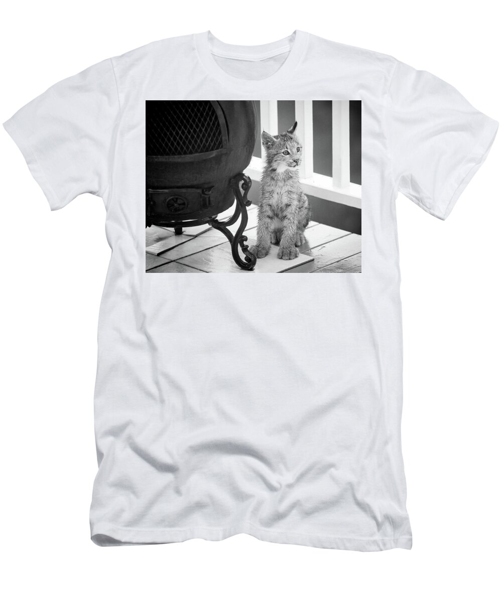 Lynx T-Shirt featuring the photograph You Say Somethin by Tim Newton