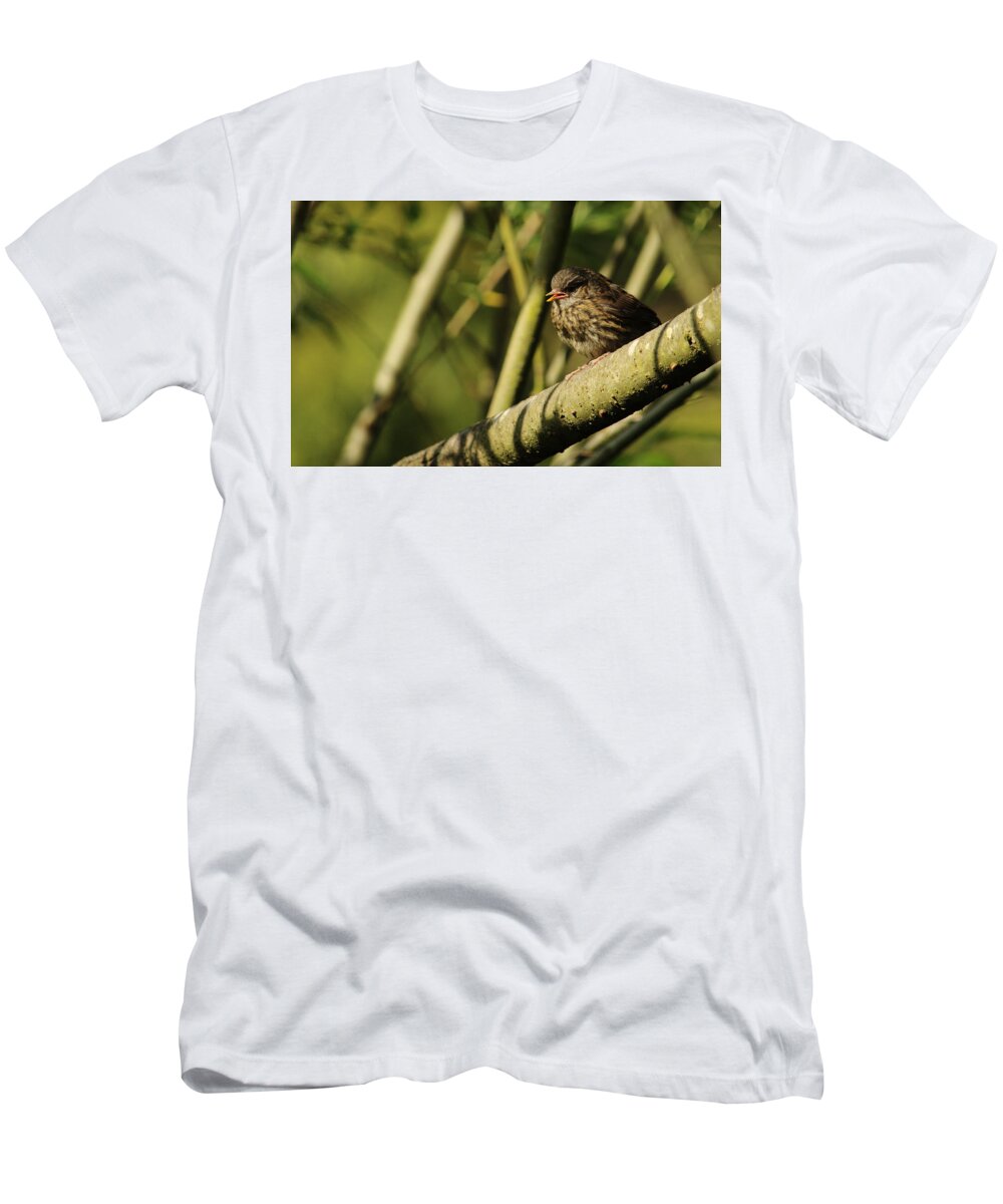 Bird T-Shirt featuring the photograph Young Dunnock by Adrian Wale