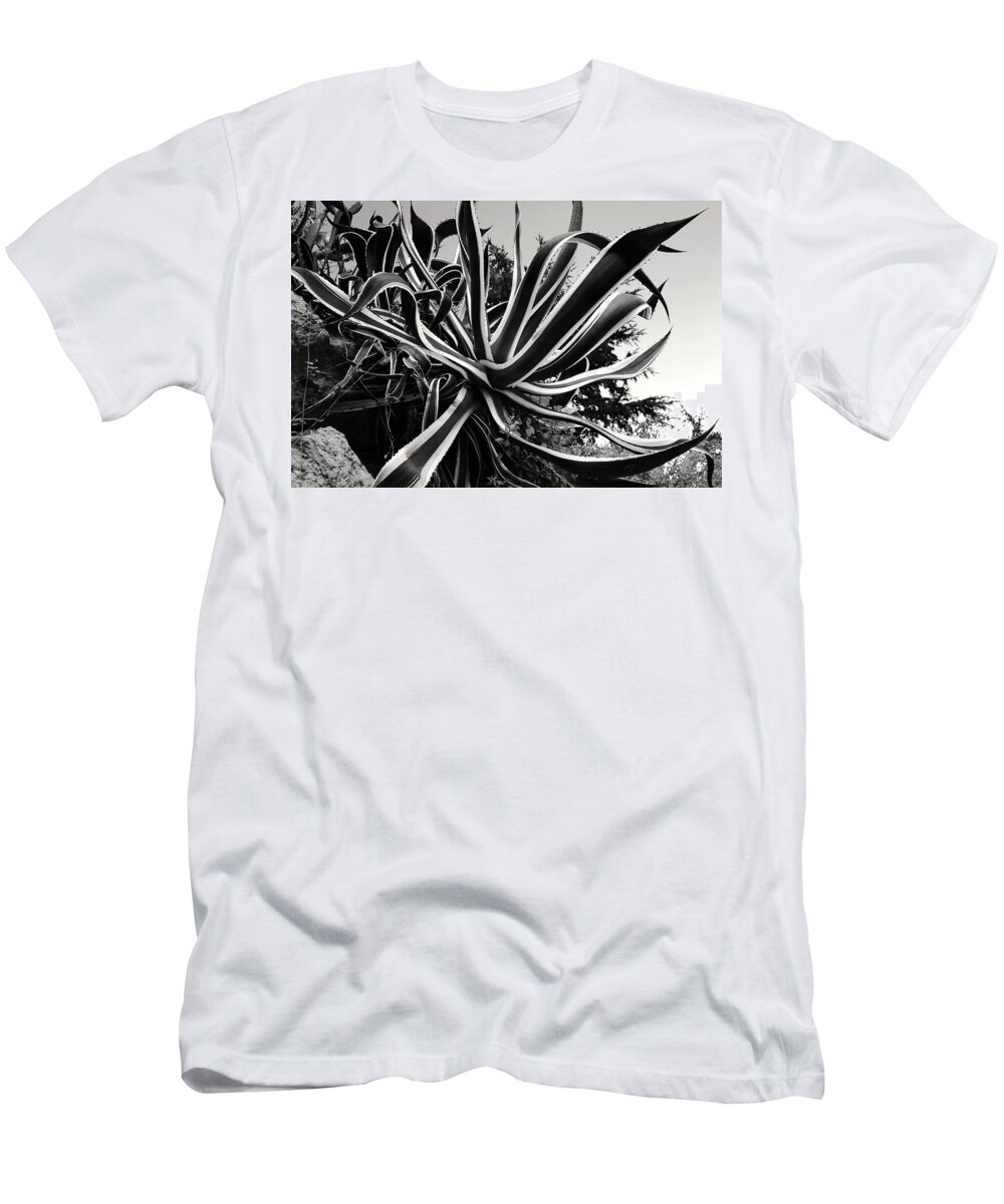 Black And White T-Shirt featuring the photograph Yucca by Mark J Dunn