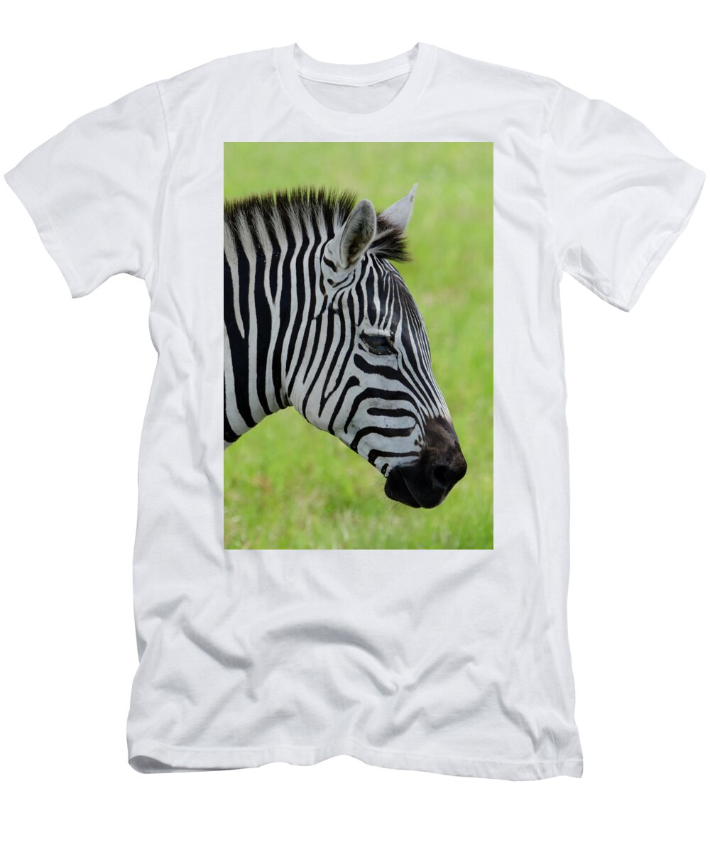 Zebra T-Shirt featuring the photograph Zebra Head Profile on Savannnah by Artful Imagery
